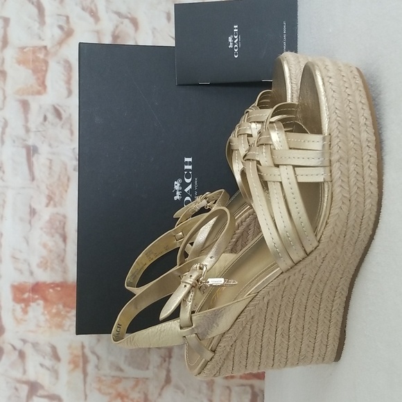 New Coach Dottie Metallic Tumbled Platinum Wedge Sandals - Picture 1 of 10